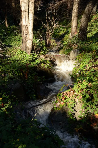 DSC_0927 (Large).JPG